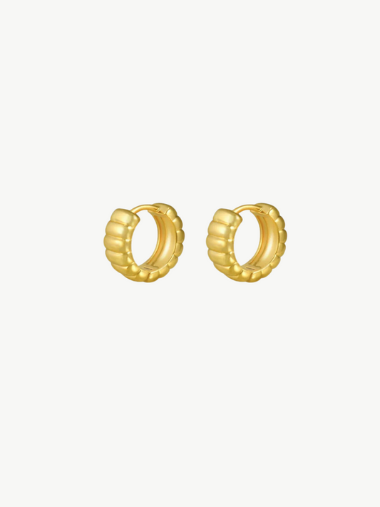 Luxe Texture Hoop Earrings