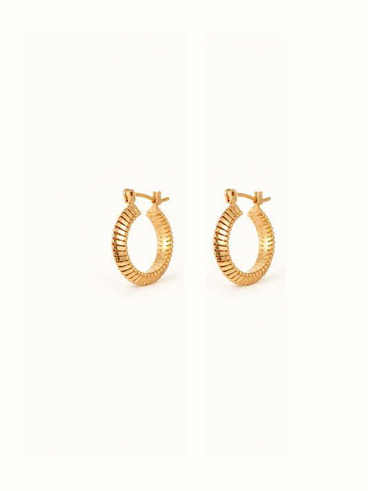 Rounded Square Hoop Earrings